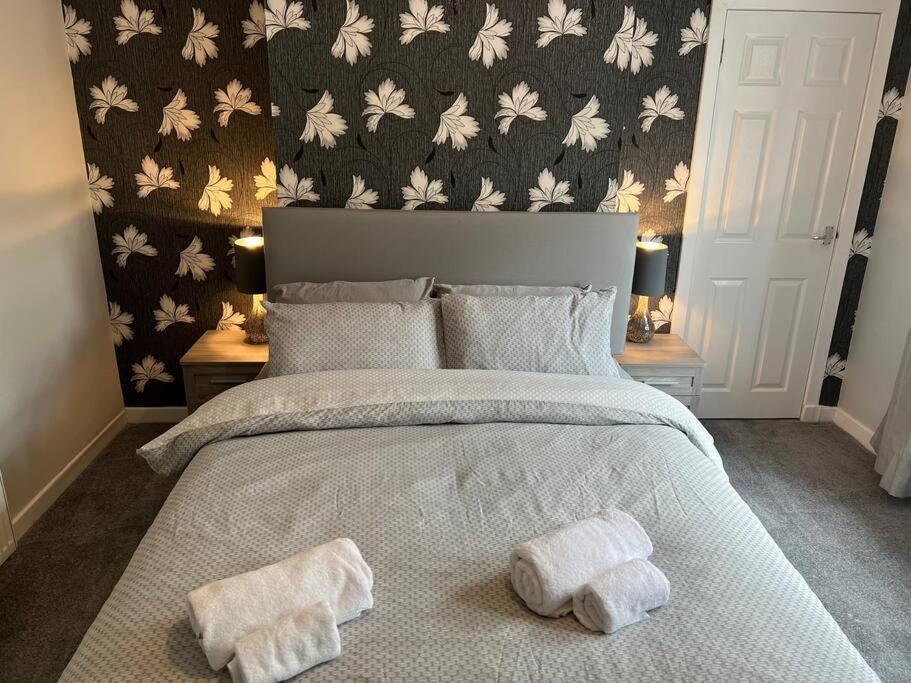 Cosy Cottage Apartment 헬렌스버그 외부 사진